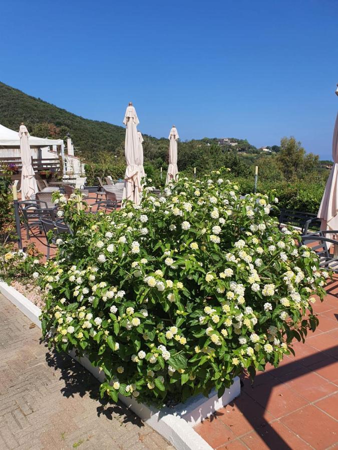 Acquaviva Park Hotel Portoferraio Exterior foto